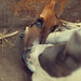 Betty Lay Photo 7