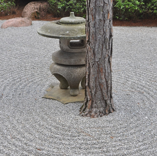 Debra Gottlieb Photo 1