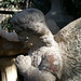 Angel Robles Photo 28