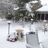 Teresa Rayburn Photo 10
