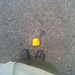 Sandra Linares Photo 16