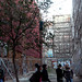 Carlos Madriz Photo 6