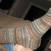 Nancy Winter Photo 13