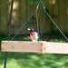 Debbie Lingle Photo 6