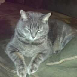 Maryann Maffei Photo 1