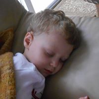 Deborah Palumbo Photo 15