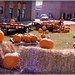 Will Small Photo 15