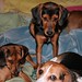 Angie Reece Photo 11