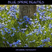 Don Spring Photo 11
