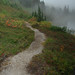 Randall Fields Photo 16