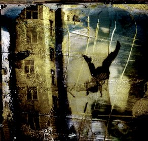 Samuel Thompson Photo 20