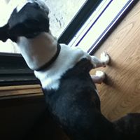 Willie Erwin Photo 4