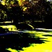 Julie Cartwright Photo 20