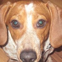 Debra Mccombs Photo 9