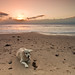 Bonny Bailey Photo 9