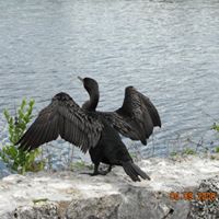 Sharon Hooper Photo 41