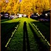 Shelly Lange Photo 19