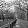 Jeff Robison Photo 18
