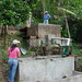 Sylvia Mills Photo 27