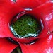 Charles Johanns Photo 7