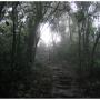 Justin Gray Photo 36