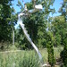 Michael Wind Photo 14