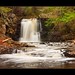 Darrel Summers Photo 5
