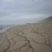 Mark Cahoon Photo 11
