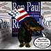 Ron Jefferson Photo 8