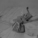 David Grose Photo 22