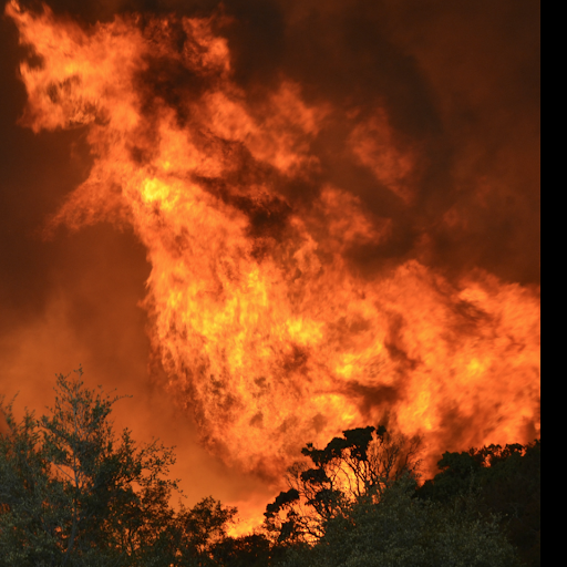 Ron Porter Photo 19