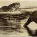 Martin Fish Photo 25