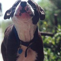Bruce Benson Photo 10