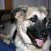 Tabatha Summers Photo 12