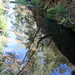 Victoria Morse Photo 17