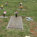 Virginia Curtis Photo 22