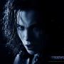 Michele Cook Photo 8