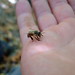 Bee Her Photo 25