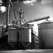 Walter Mills Photo 15