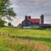Don Orton Photo 11