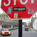 Dave Mcgee Photo 32