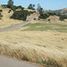 Barbara Camp Photo 11