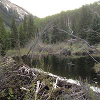 John Gibb Photo 7