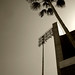 Al Fields Photo 21
