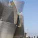 Frank Hall Photo 15