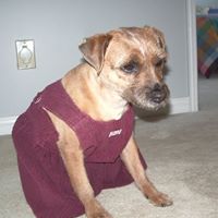 Nancy Holman Photo 28