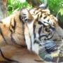 Sandra Shepard Photo 39