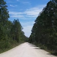 Vivian Phillips Photo 29
