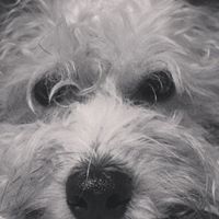 Theodore Luster Photo 6