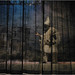 Michele Mattera Photo 16